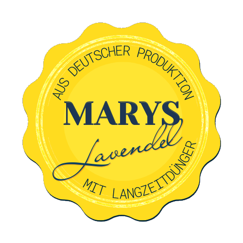 Marys Lavendel